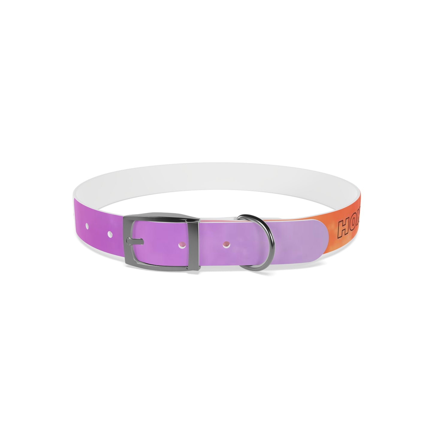 personalised dog collars