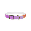 personalised dog collars