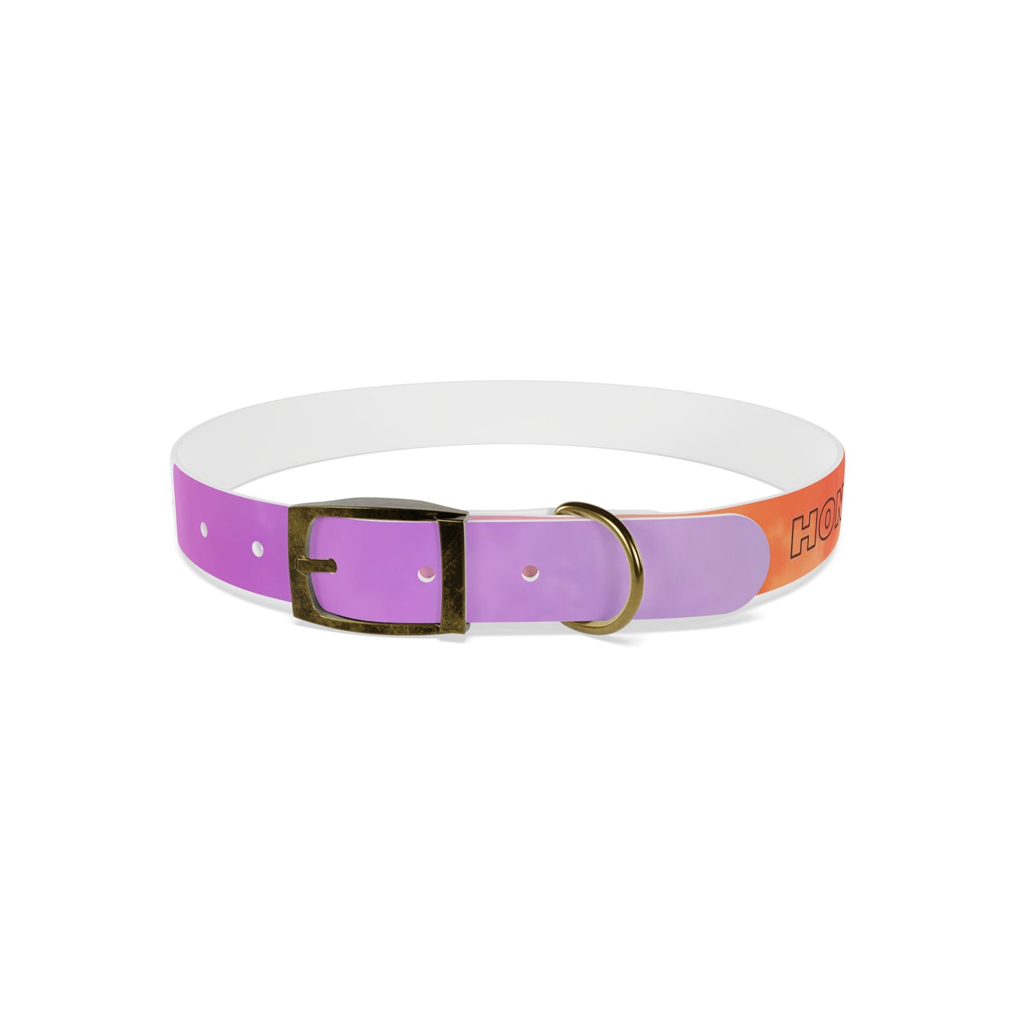 personalised dog collars