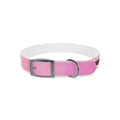 personalised dog collars