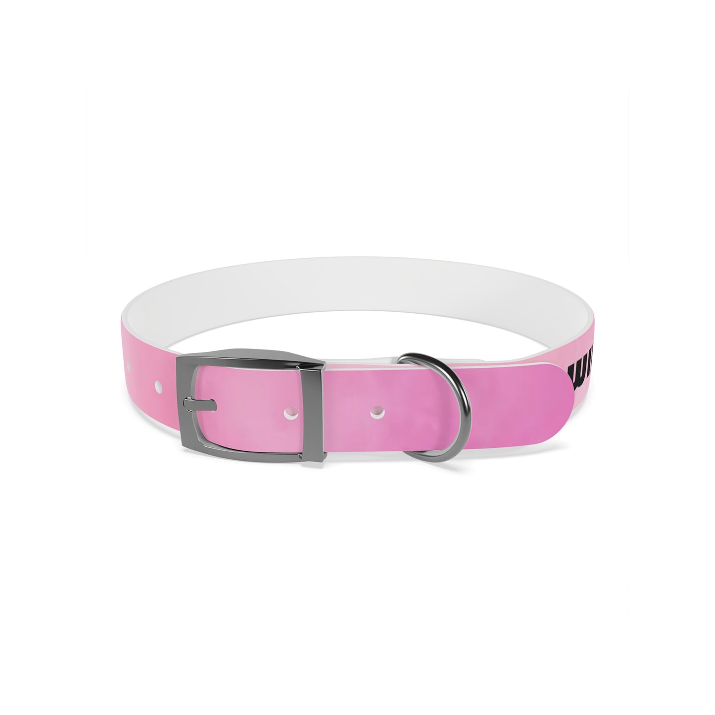 personalised dog collars