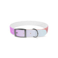 personalised dog collars