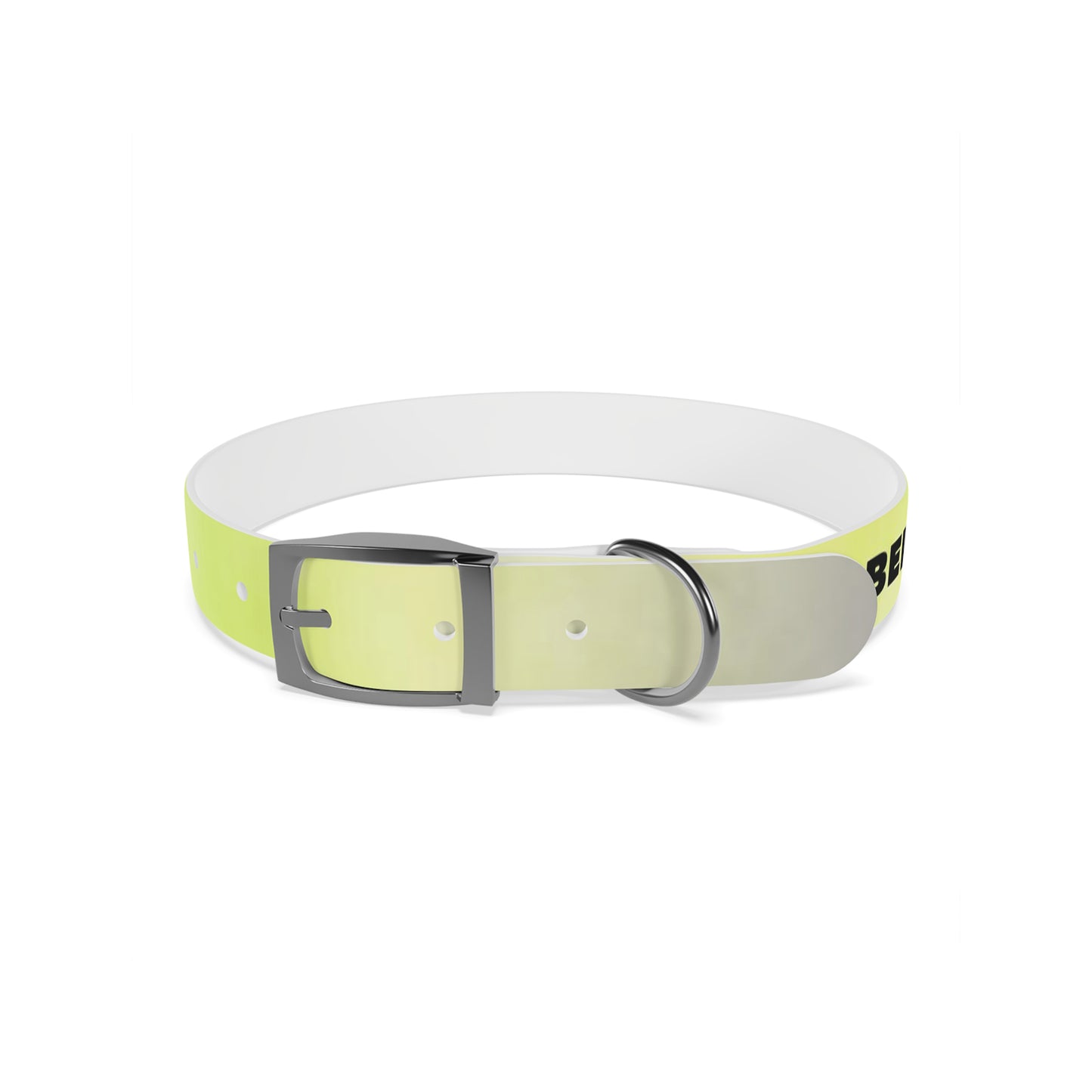 personalised dog collars
