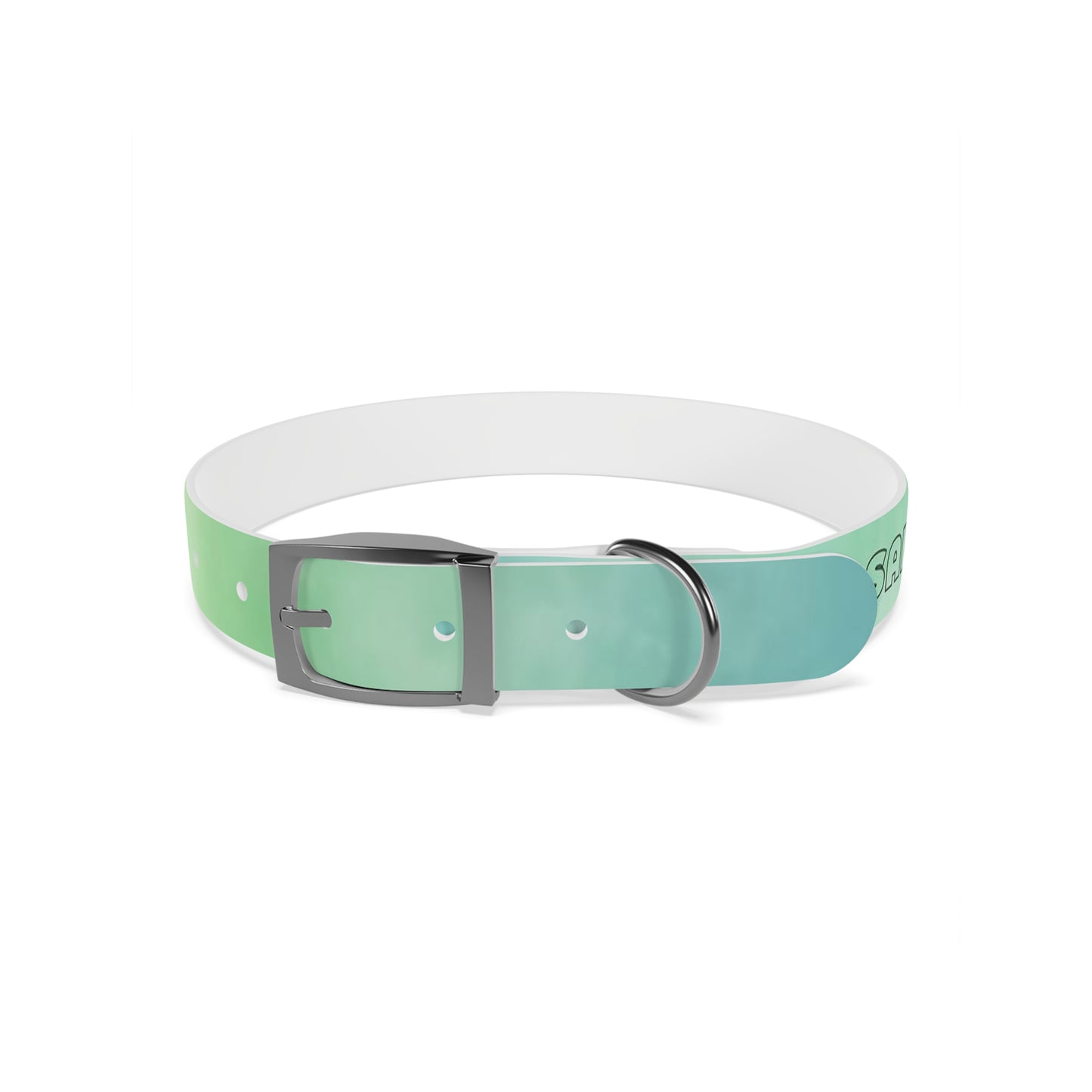 personalised dog collars