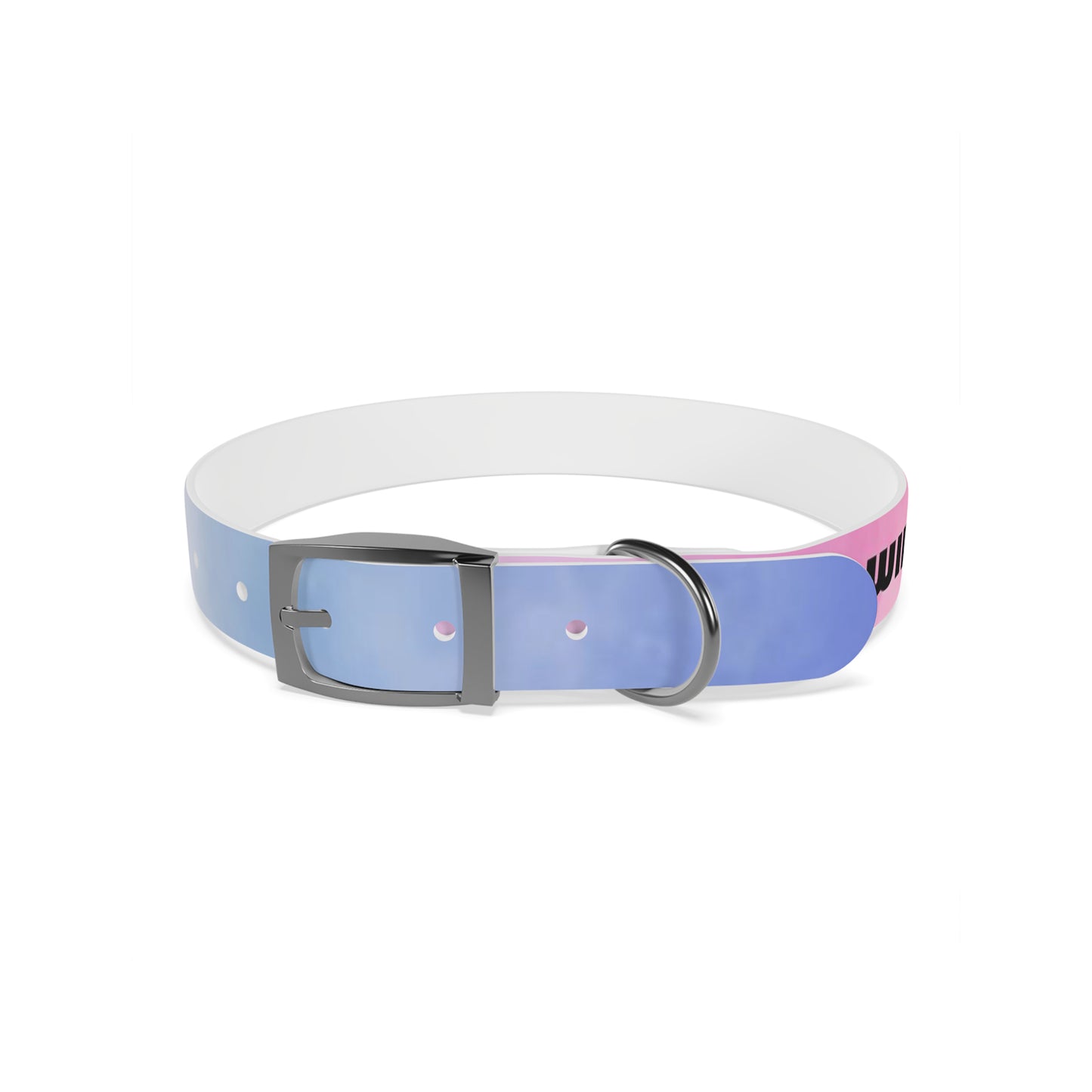 personalised dog collars