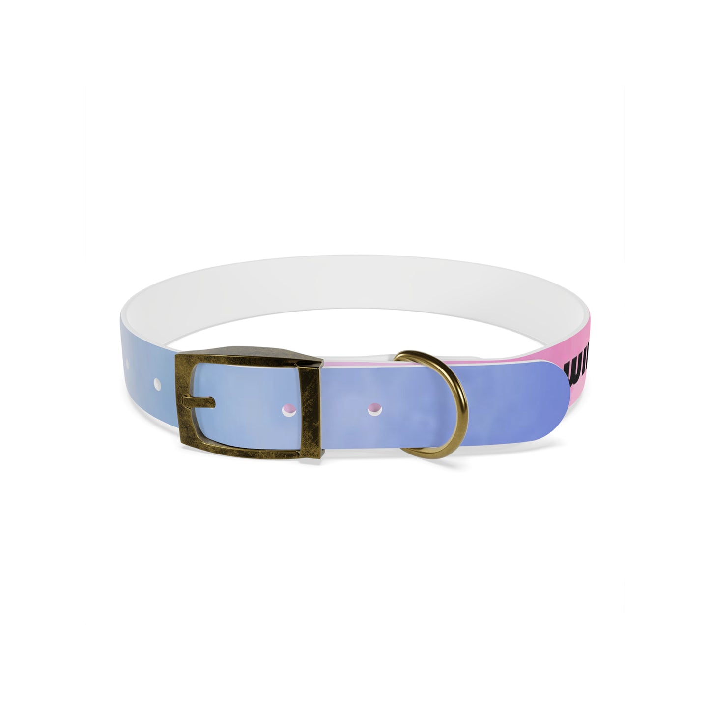 personalised dog collars
