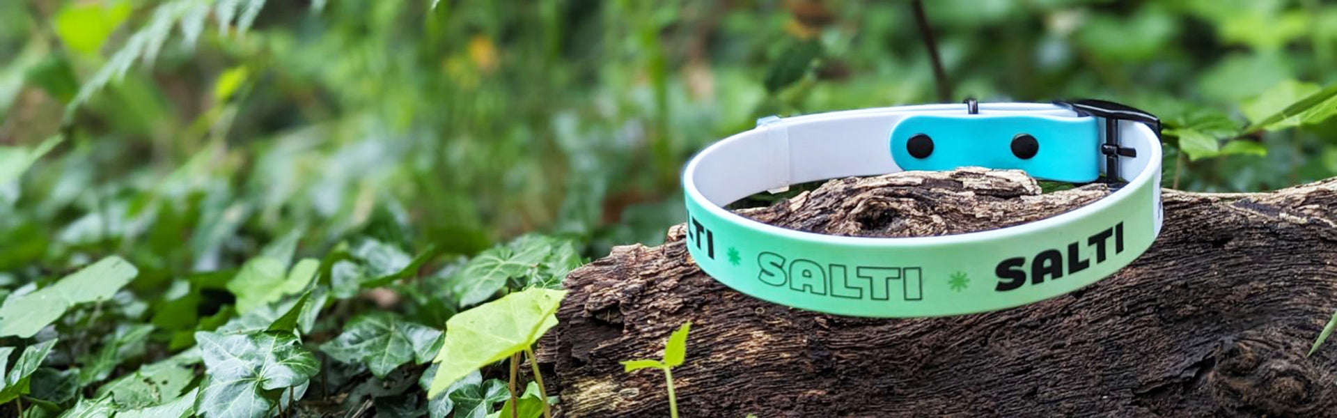 Waterproof Personalised Collars – Pack Culture