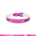 personalised dog collars