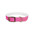 personalised dog collars