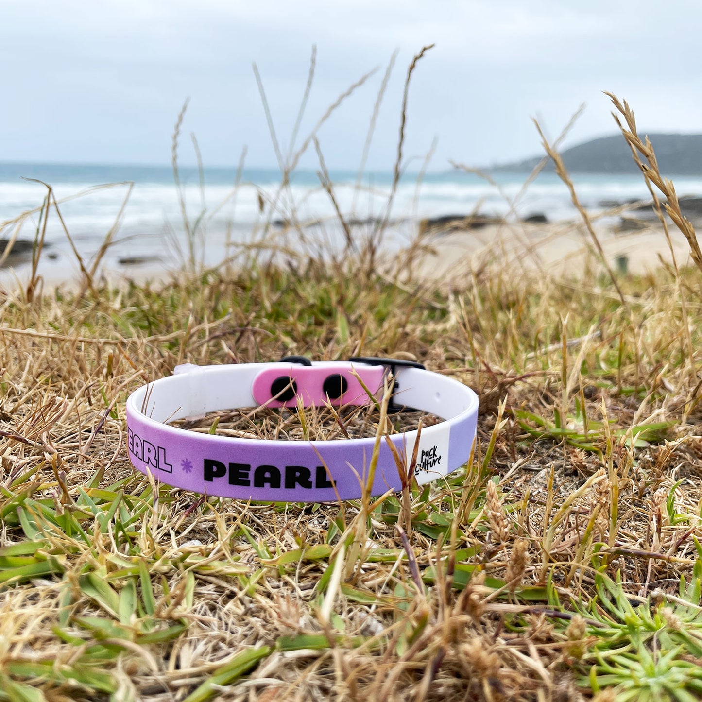 personalised dog collars